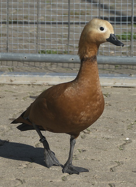们带来一场