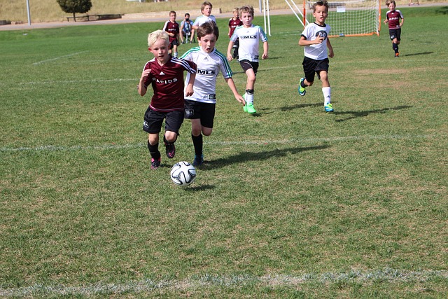 影响与贡献 影响与贡献