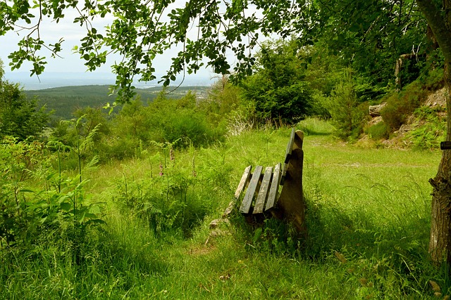 他並沒有止 他並沒有止