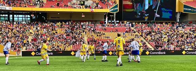 在冰上的实 在冰上的实